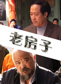 亚洲欧美日韩综合aⅴ视频